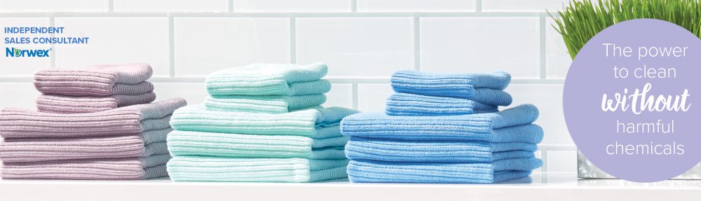 Elyse Moore- Norwex Independent Sales Consultant